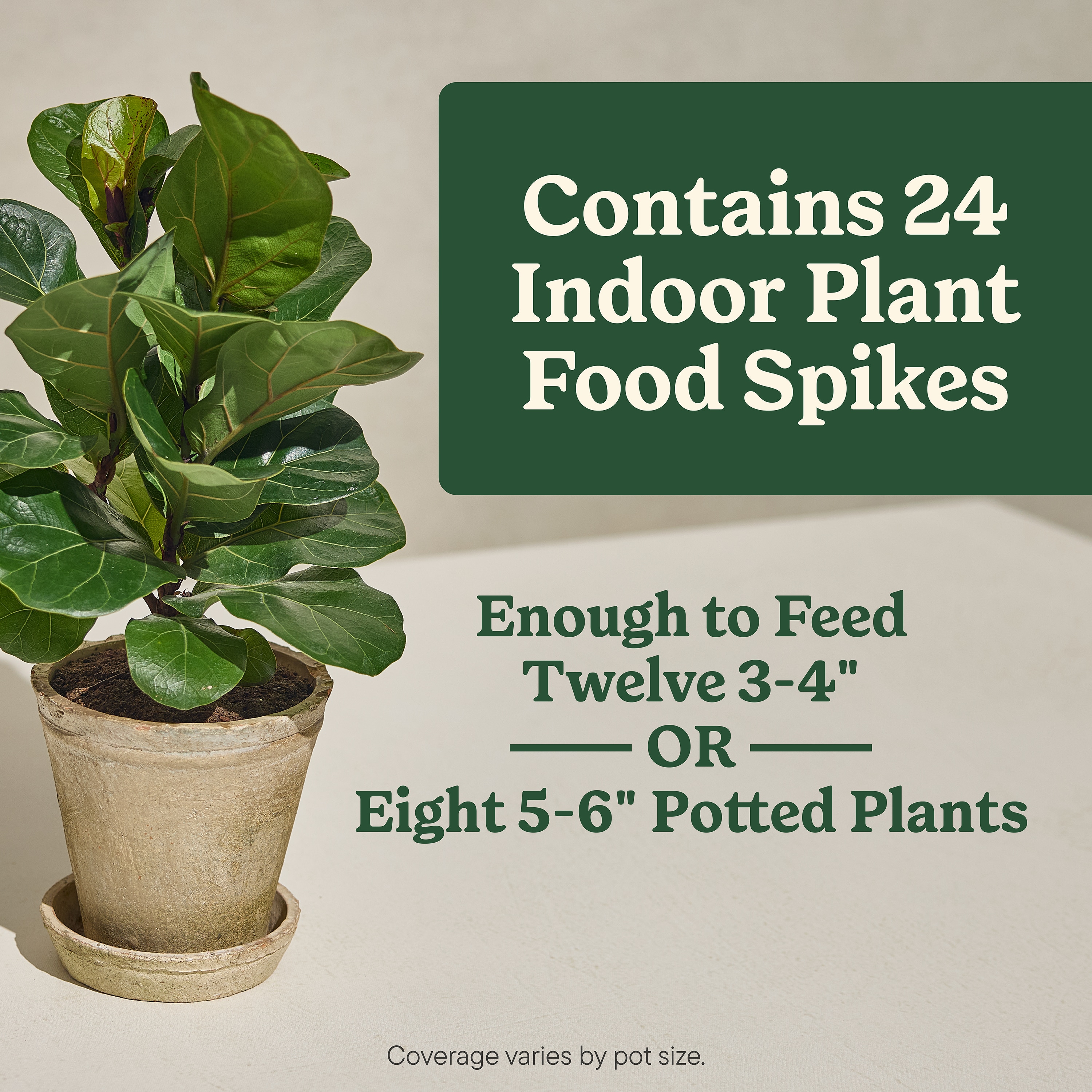 Miracle-Gro 3421724 Plant-Food - View #5