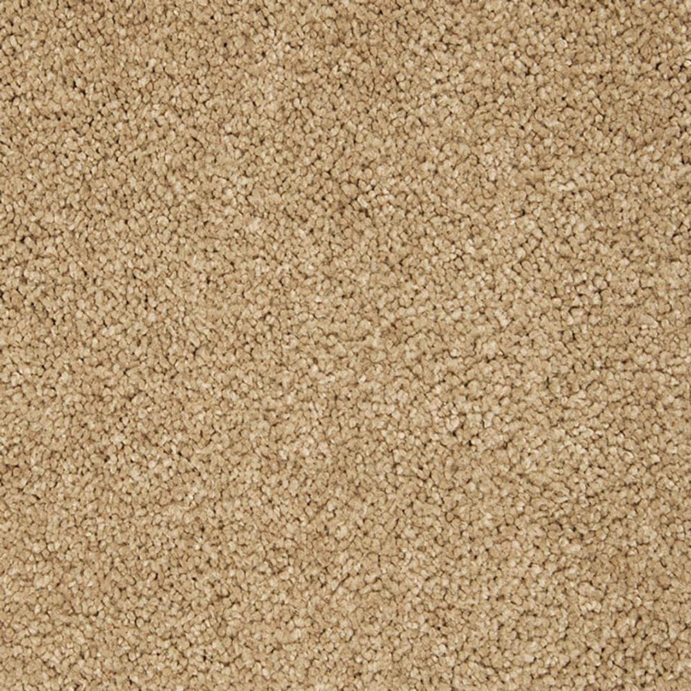 STAINMASTER PetProtect STP56-12-L016 Pawfection Haze Brown 70-oz sq yard Triexta Textured Indoor Carpet