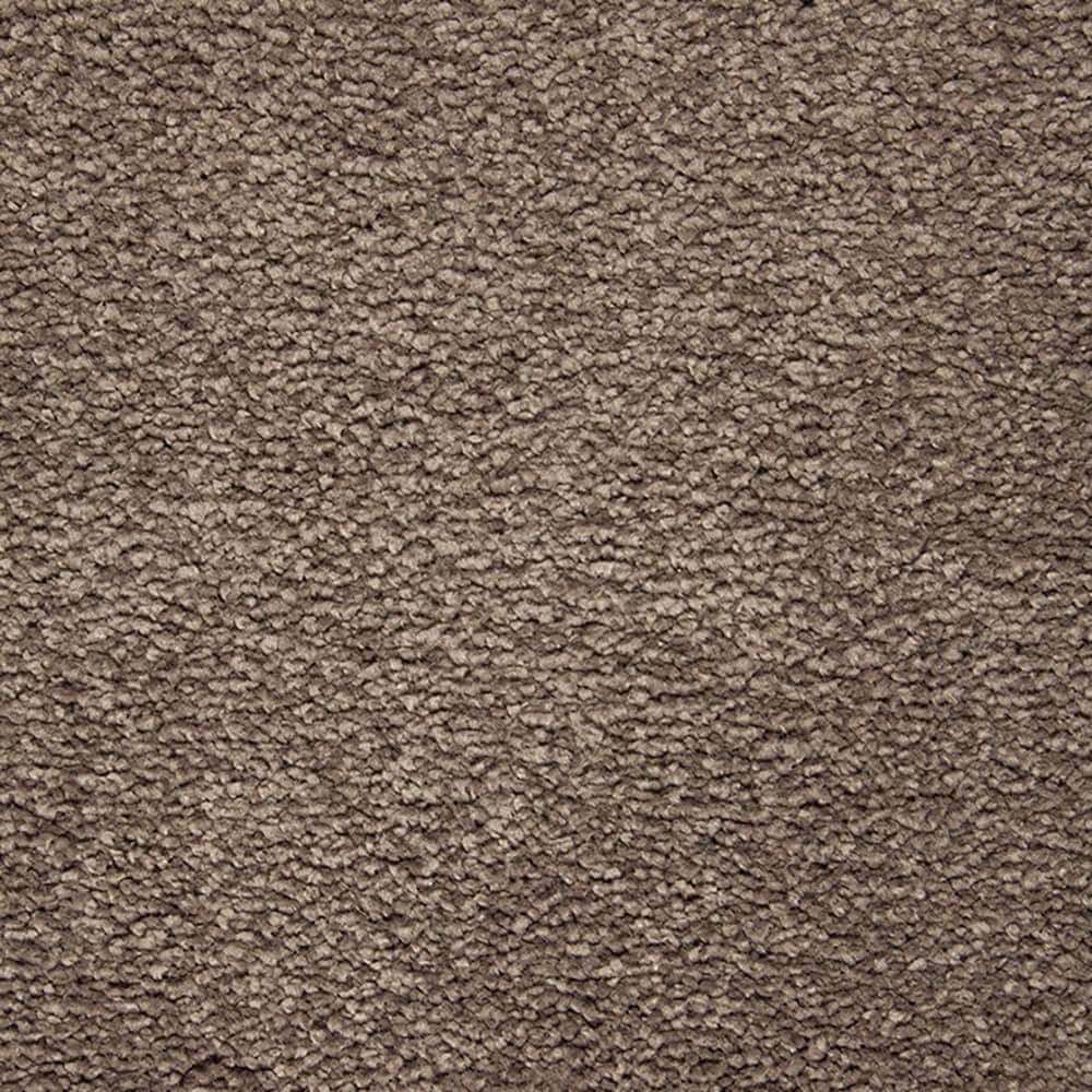 STAINMASTER PetProtect STP56-12-L020 Pawfection Nocturne Brown 70-oz sq yard Triexta Textured Indoor Carpet