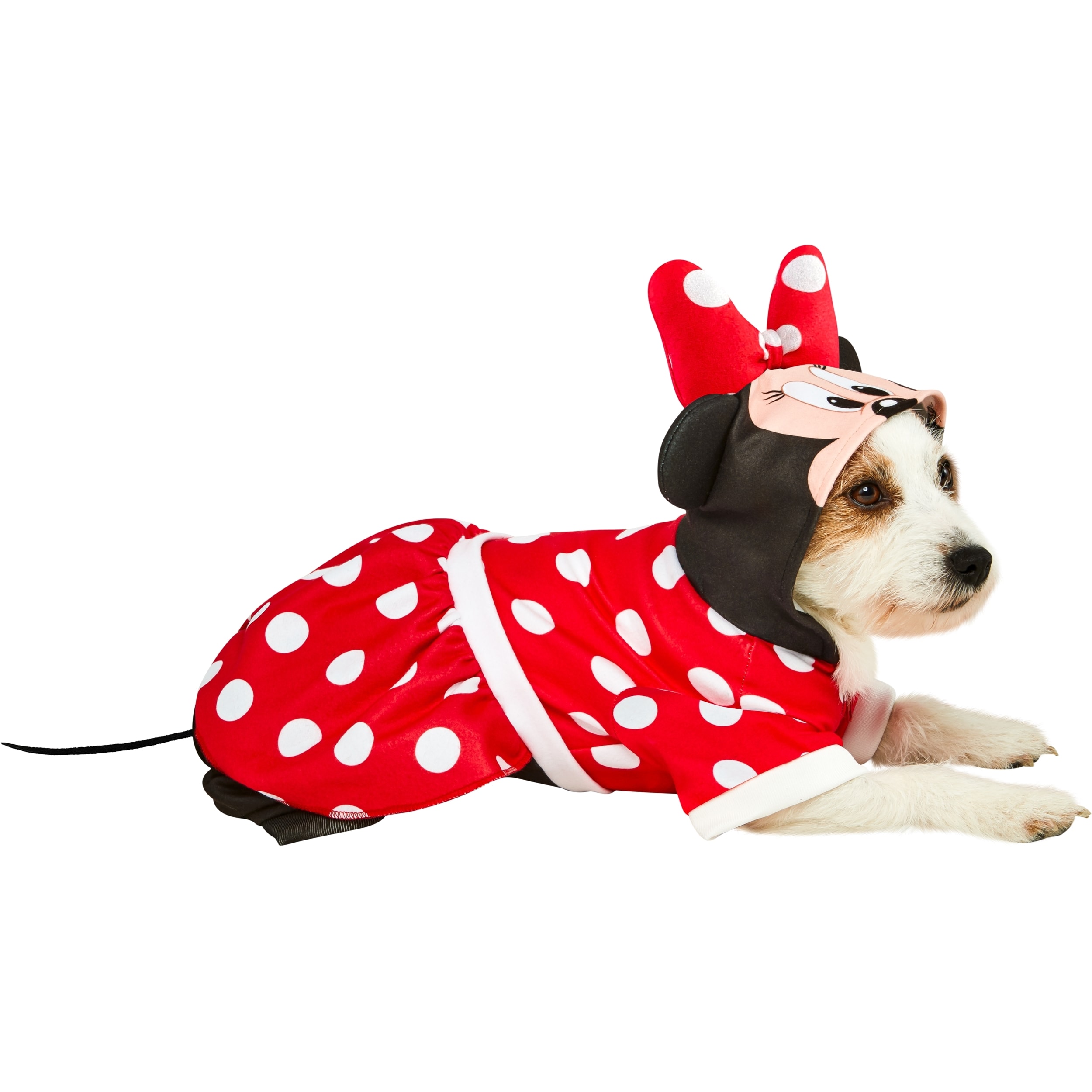 Minnie mouse clearance dog costume