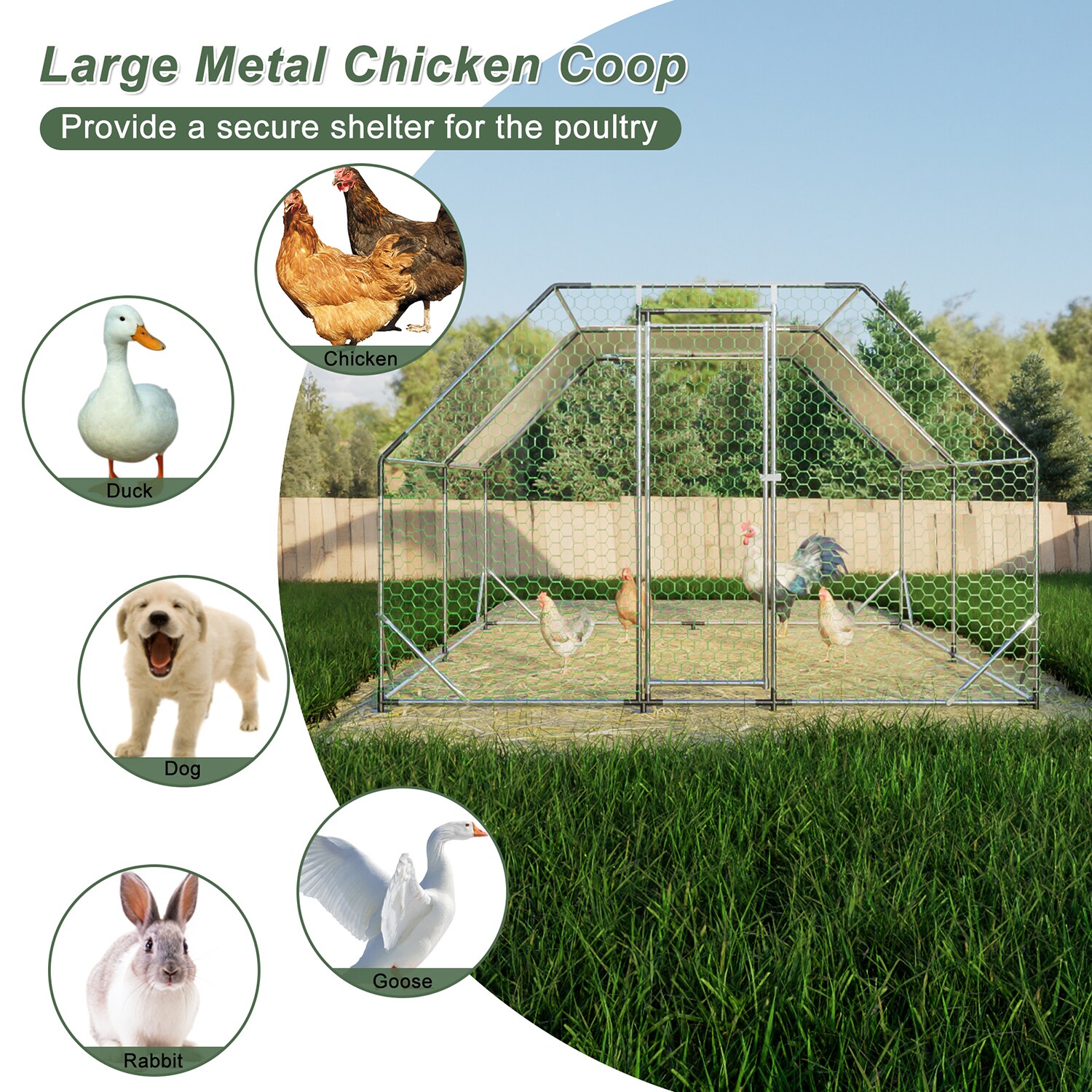 Mondawe MO-11S00007 Chicken-Coops-Rabbit-Hutches - View #6