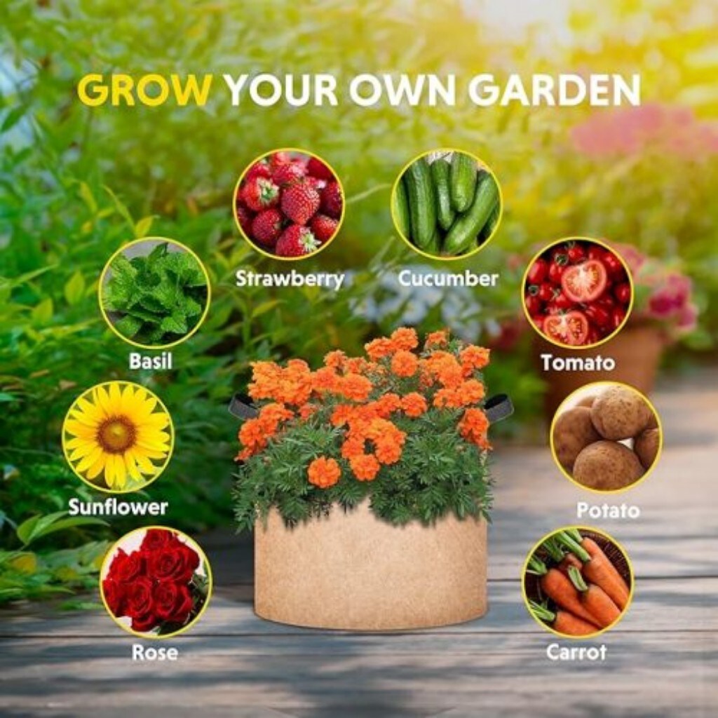 AHIOU HOME ZAAHG-P312450BG Planter-Window-Box - View #6