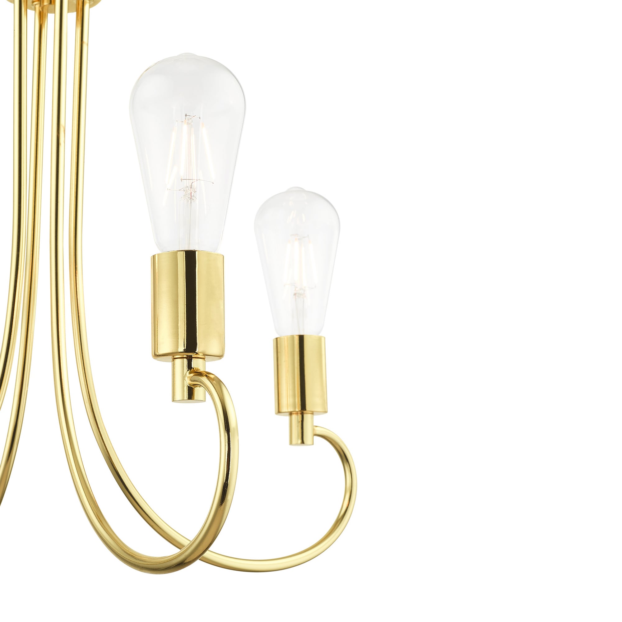 Livex Lighting 42924-02 b090015 - View #4