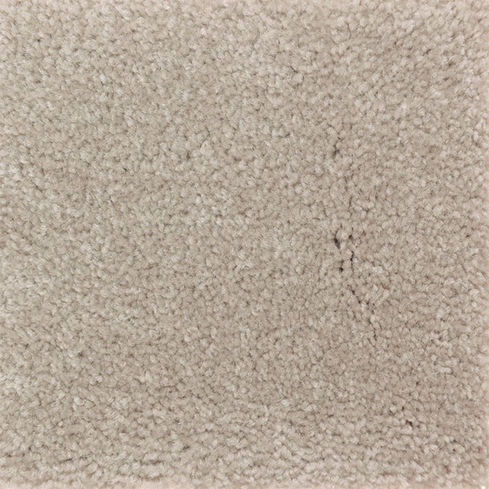 STAINMASTER PetProtect SS009-L002-0808 (Sample) Right Meow III London Brown 58-oz sq yard Triexta Textured Indoor Carpet