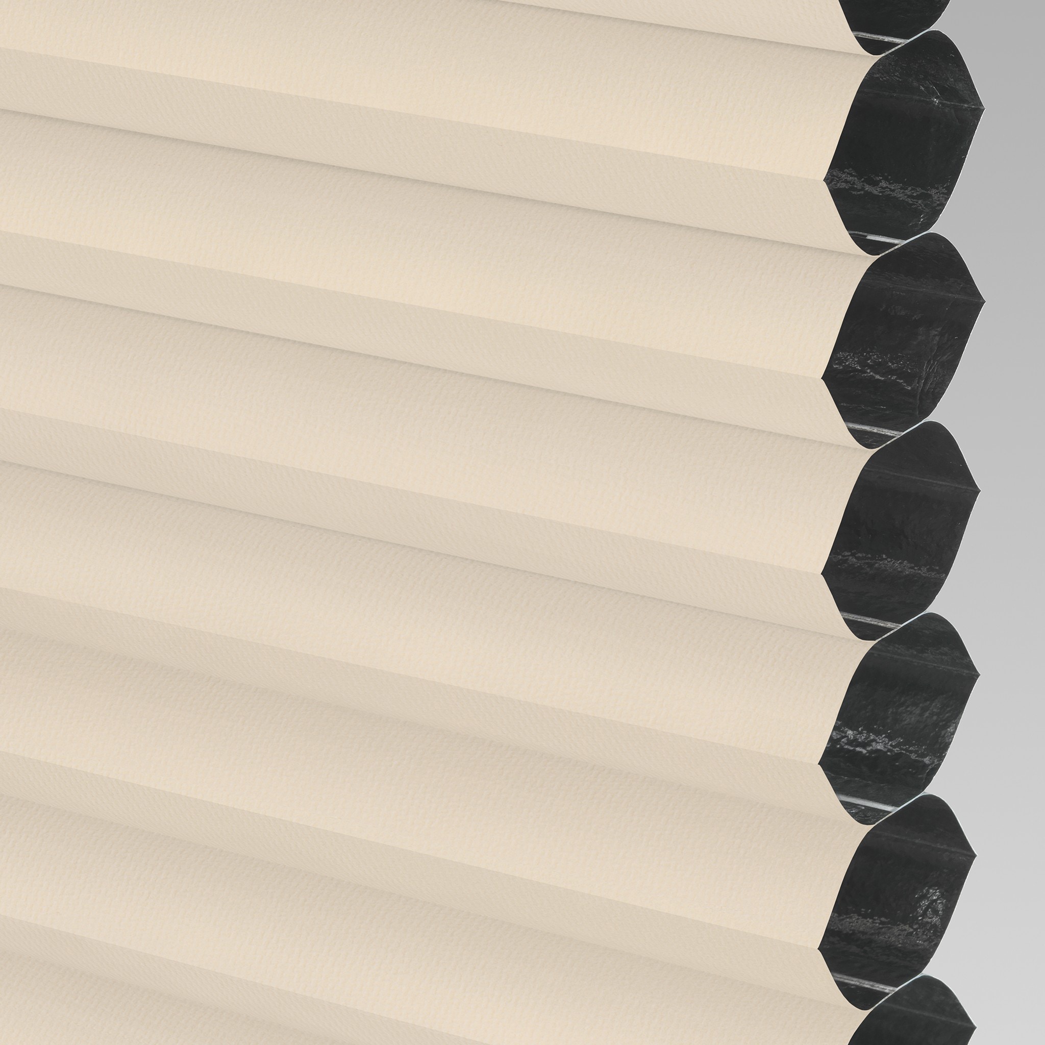 LEVOLOR 511428 Cambrica Candlelight Blackout Polyester 3/4-in Single Cellular shade swatch