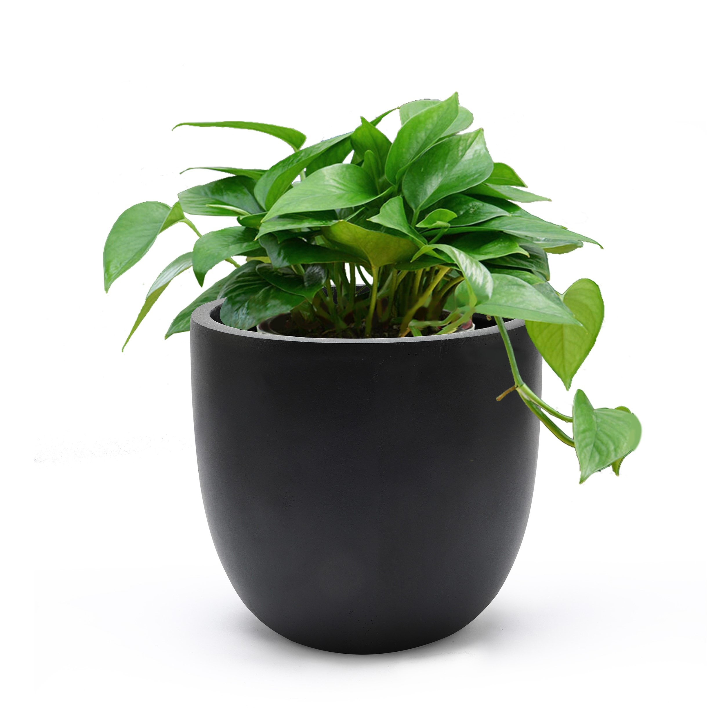 LuxenHome WH033-B Planter-Window-Box - View #7