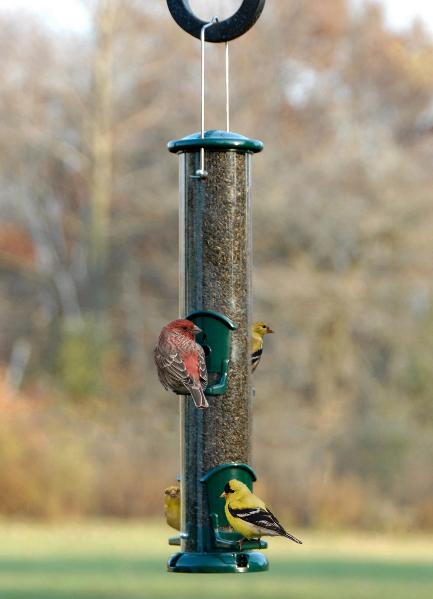 Woodlink 24570 Bird-Feeders - View #2