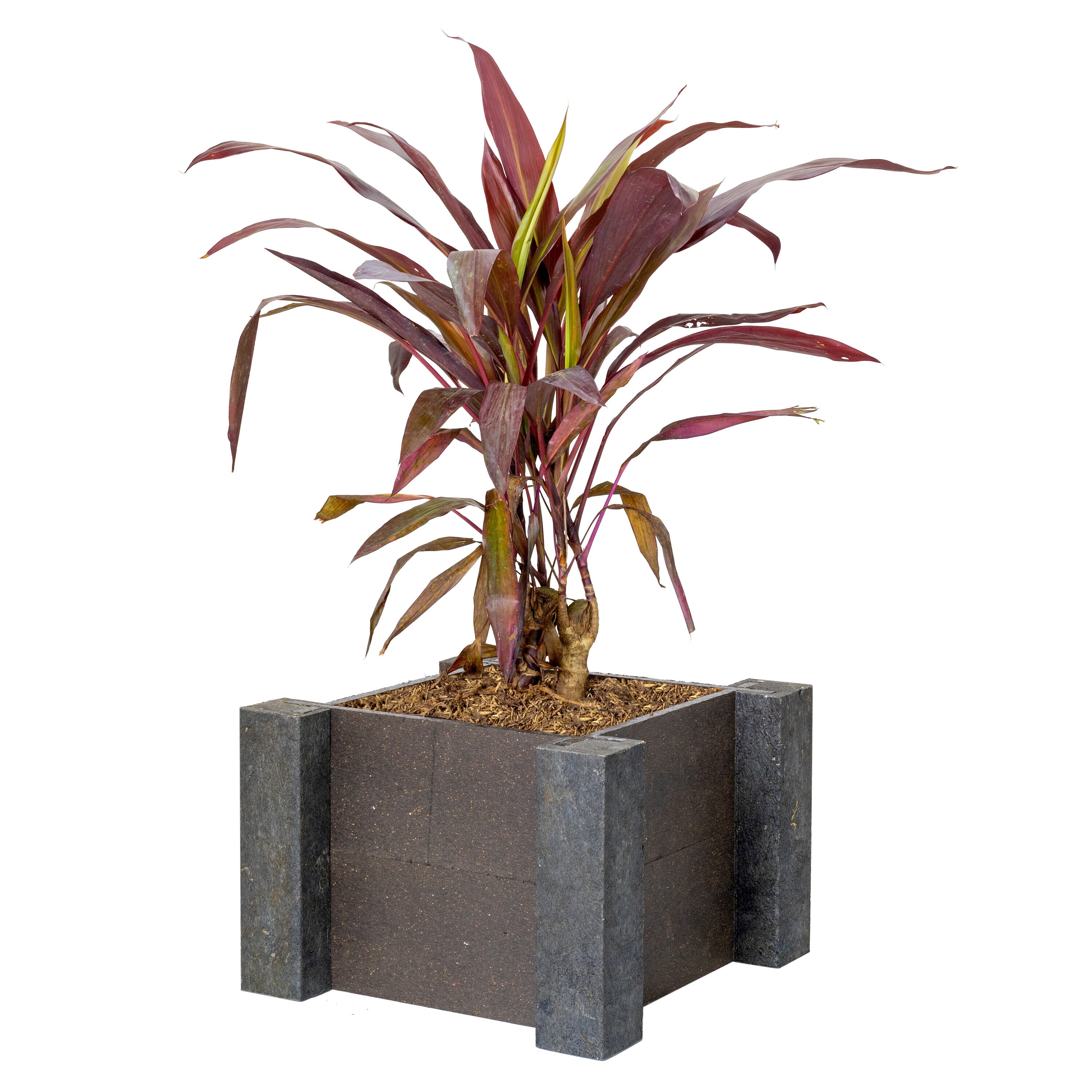 Vioscapes V-PL101010BR Planter-Window-Box - View #5