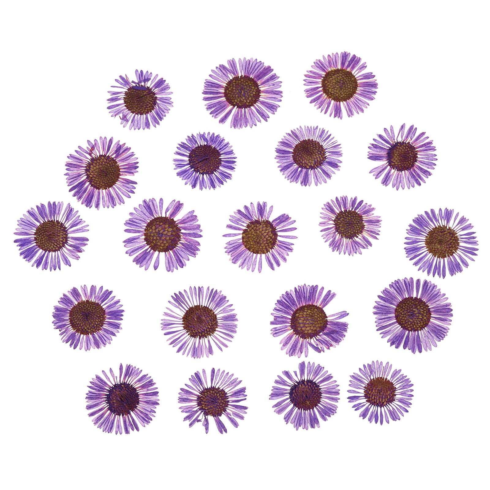 PATIKIL Dried Pressed Flower 60pcs for Resin DIY Crafts Nail Art Cards Scrapbooking Jewelry Making Floral Decor Candle Decors Purple