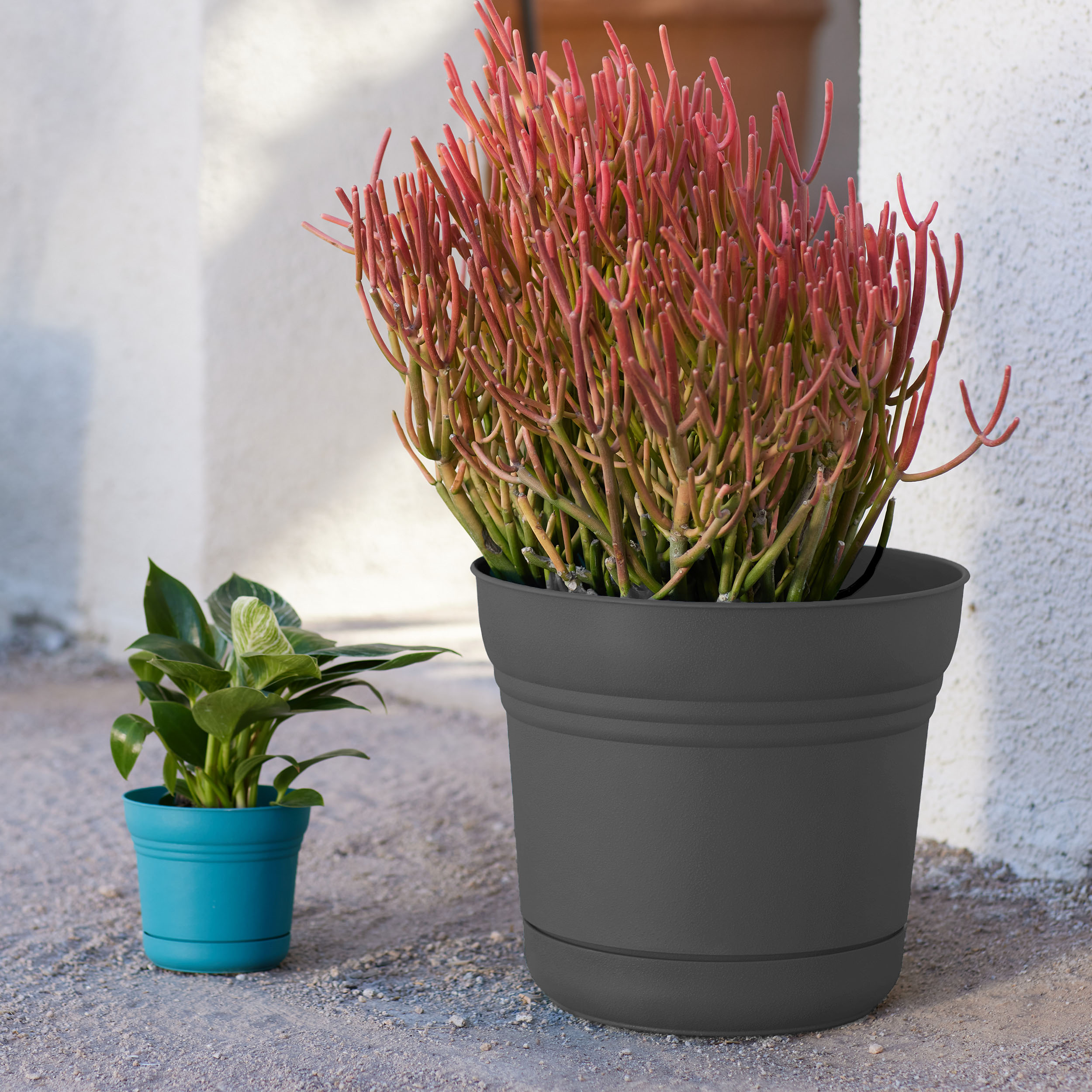 Bloem DCB-SATMIX16 Planter-Window-Box - View #2