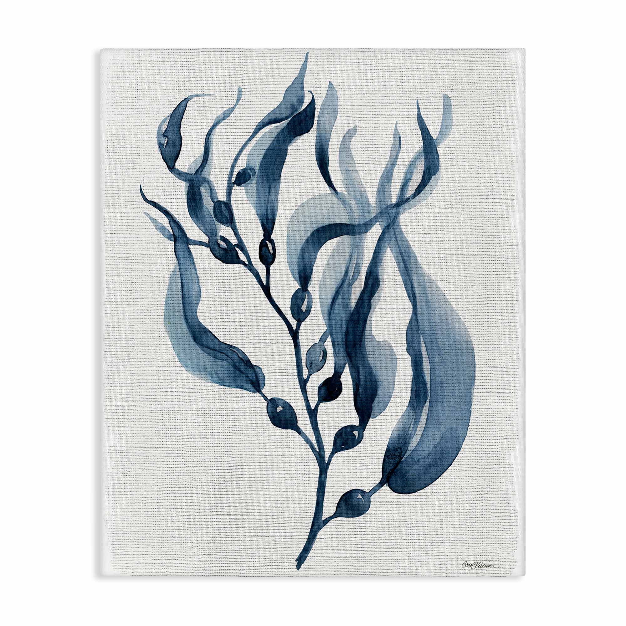 Stupell Industries BS-176-CN-16X20 Delicate Waving Herb Leaves Canvas Wall Art By Carol Robinson 16 x 20