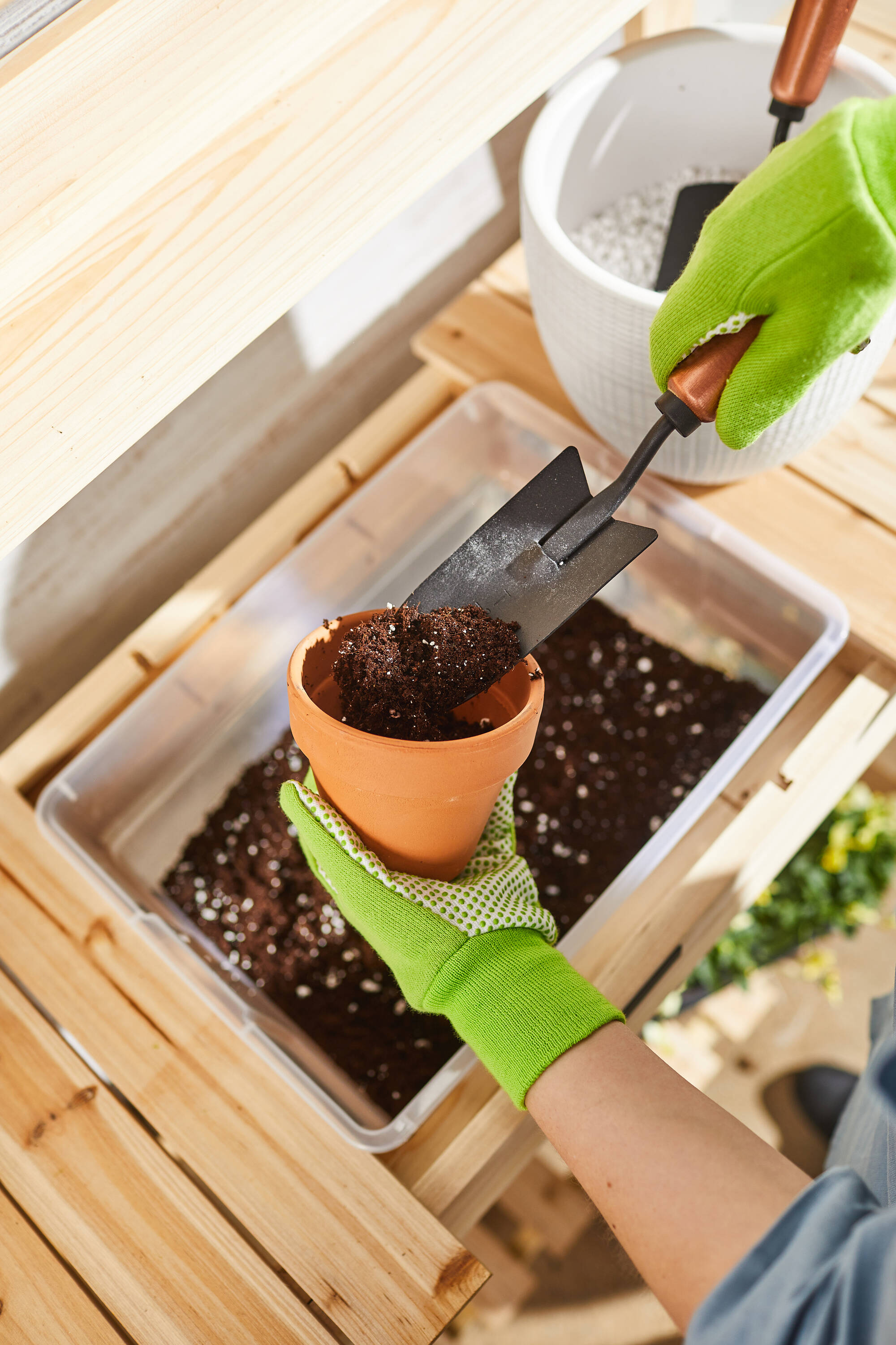 Perfect Plants Organic Garden Coir | 8qt. Premium Garden Coir | Can Be Used  as Soil Amendment or Potting Medium