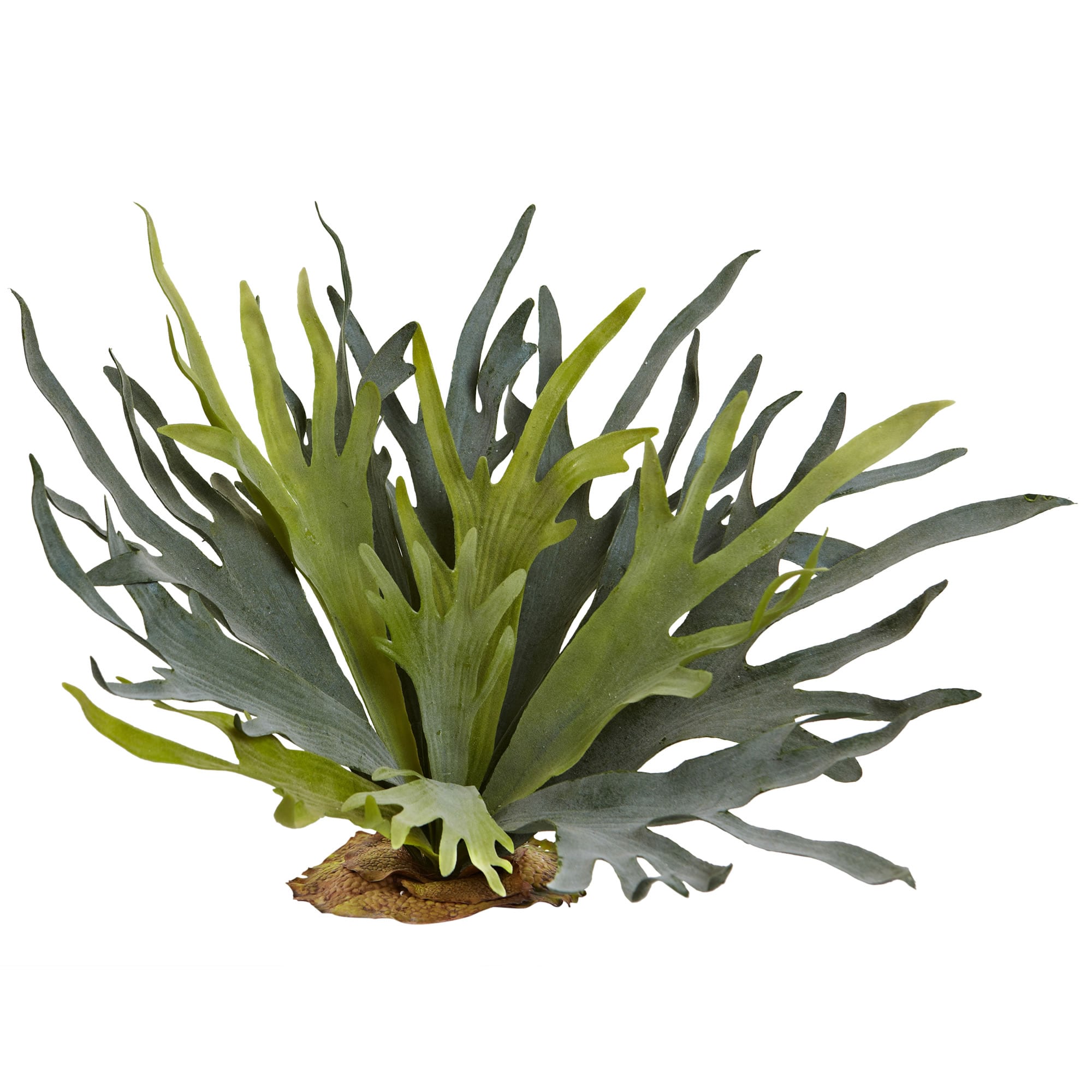 Nearly Natural 6107-S2 21-Inches Green Indoor Desktop Ficus Artificial plant