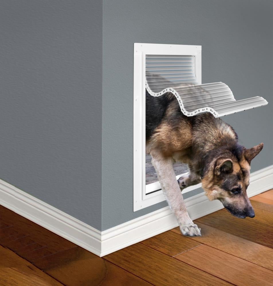 Dog doors outlet for walls lowes