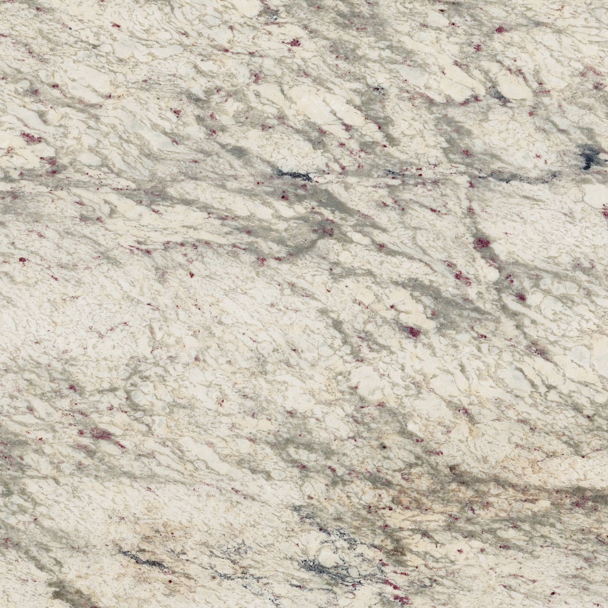 ONE Natural Stone G566 White Antico Granite Multiple colors/finishes Kitchen Countertop SAMPLE ( 3-in x 3-in )