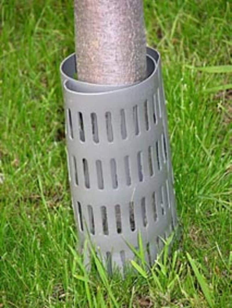 EasyFlex 1131-6C plantcare - View #4