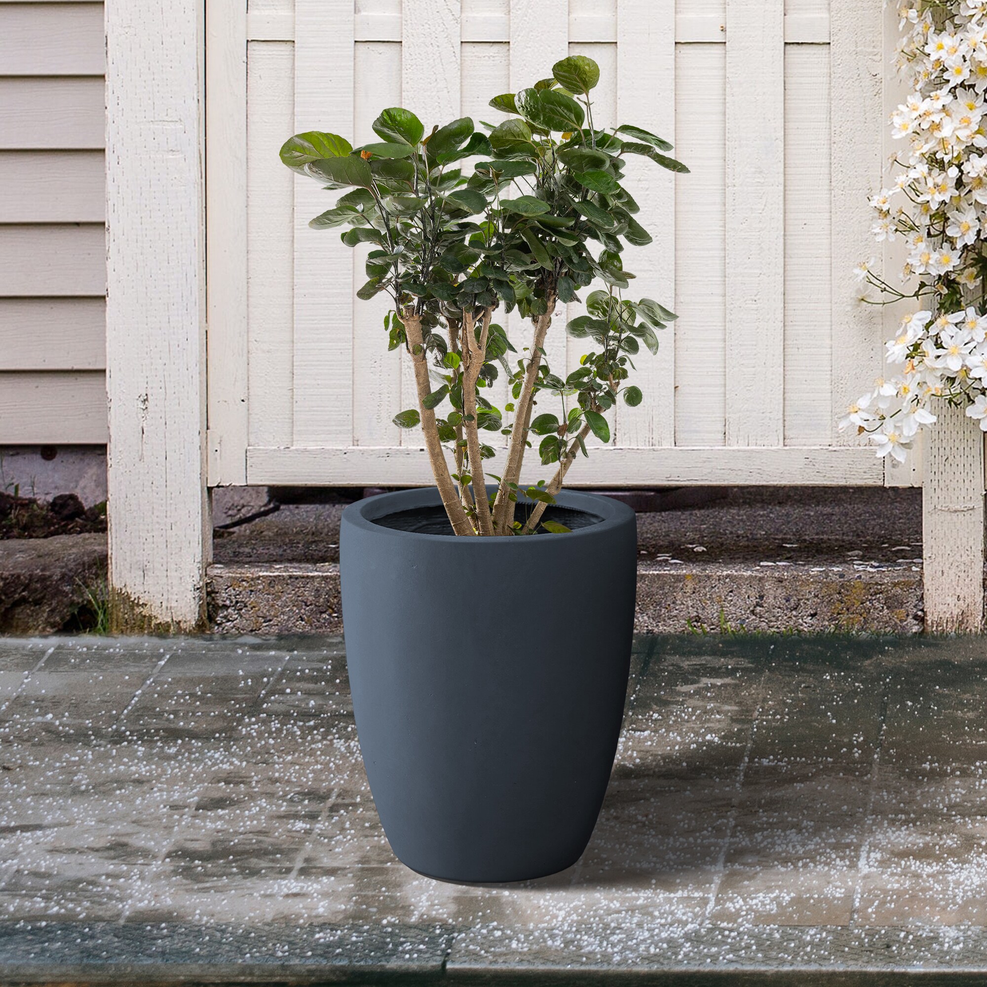 KANTE RC0153B-C60121 Planter-Window-Box - View #4