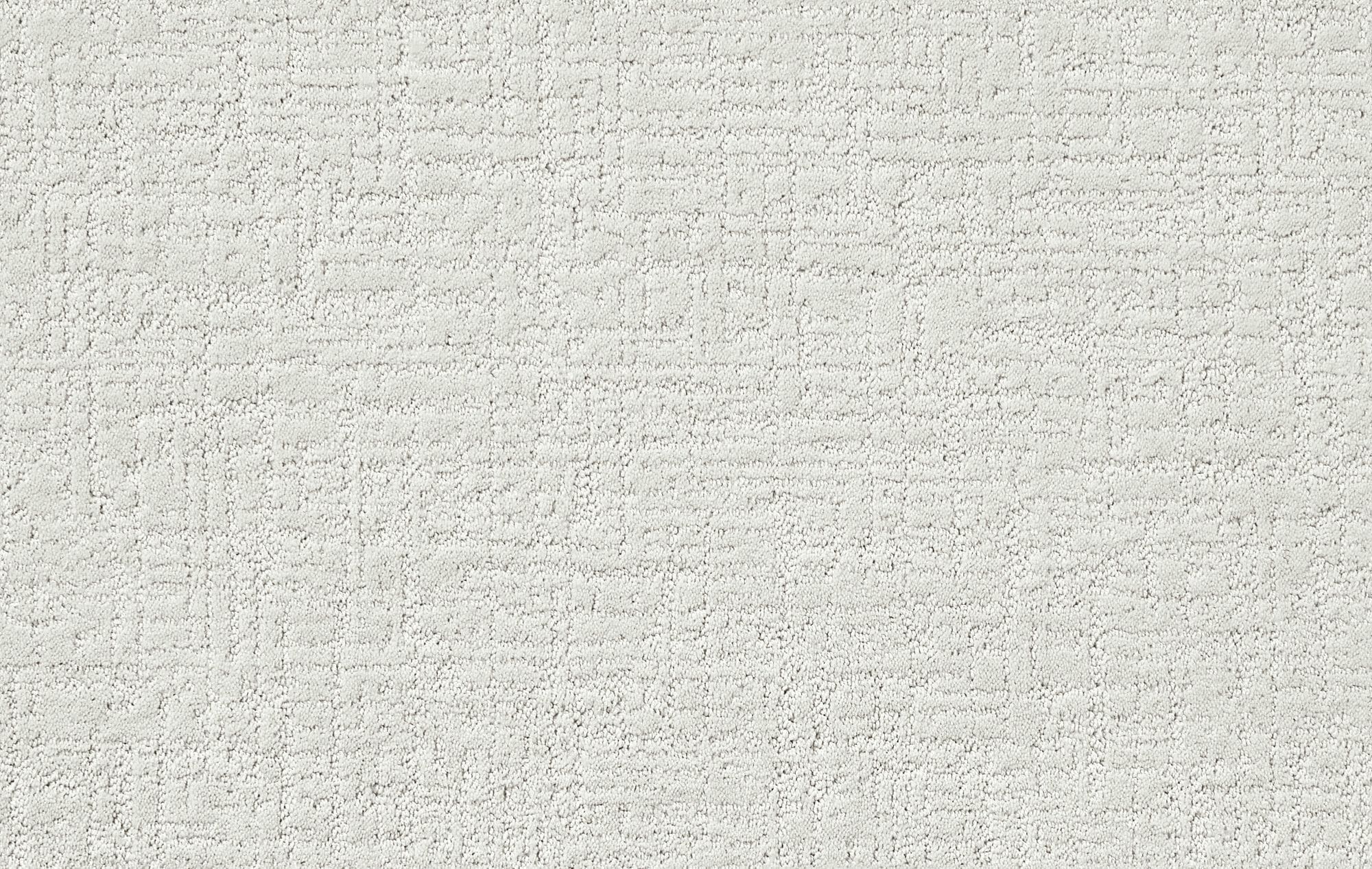 STAINMASTER PetProtect 7L85200141 Staycation Porcelain Off-white 39-oz sq yard Nylon Pattern Indoor Carpet