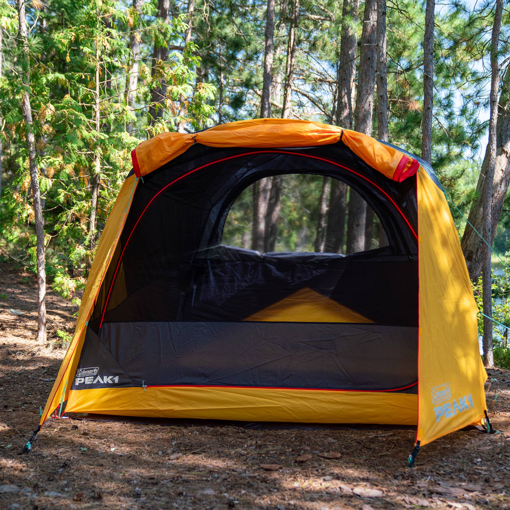 Coleman 399984 tents - View #8