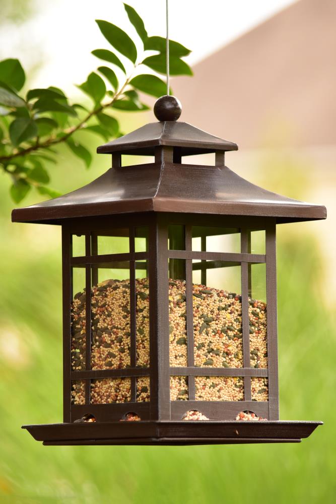 Backyard Glory Antique Brown Metal Hopper Bird Feeder at Lowes.com