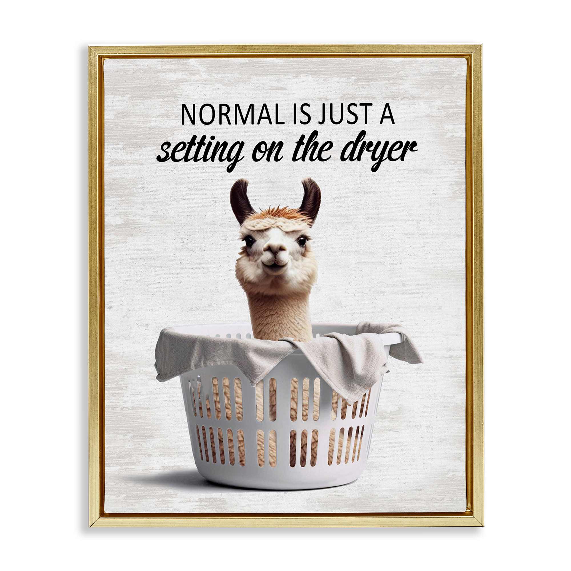 Stupell Industries BS-855-FFG-24X30 Funny Normal Dryer Quote Gold Framed Floater Canvas Wall Art By Lettered and Lined 25 x 31