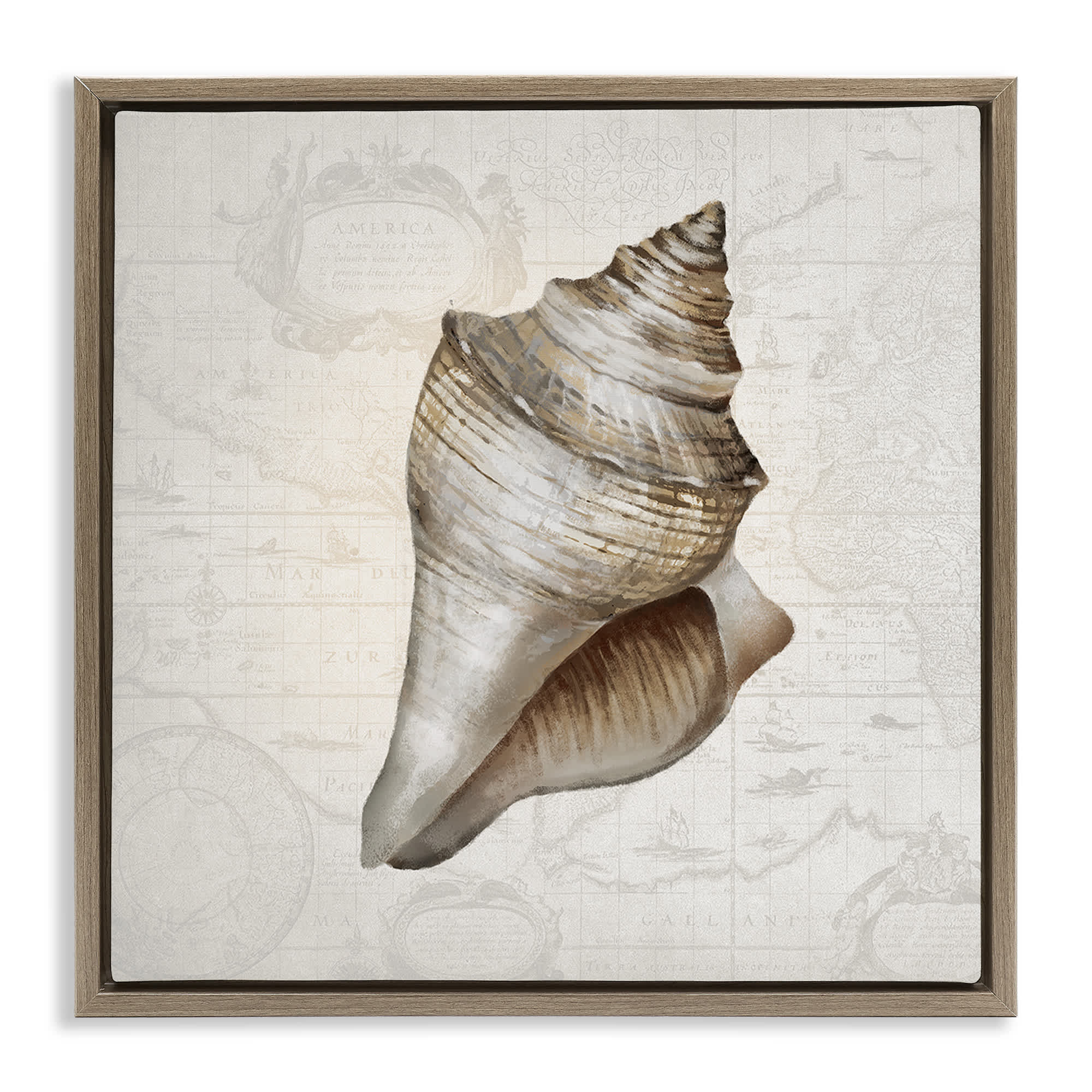 Stupell Industries BT-999-FFE-17X17 Conch Shell over Vintage Map Brown Framed Floater Canvas Wall Art By Conrad Knutsen 18 x 18