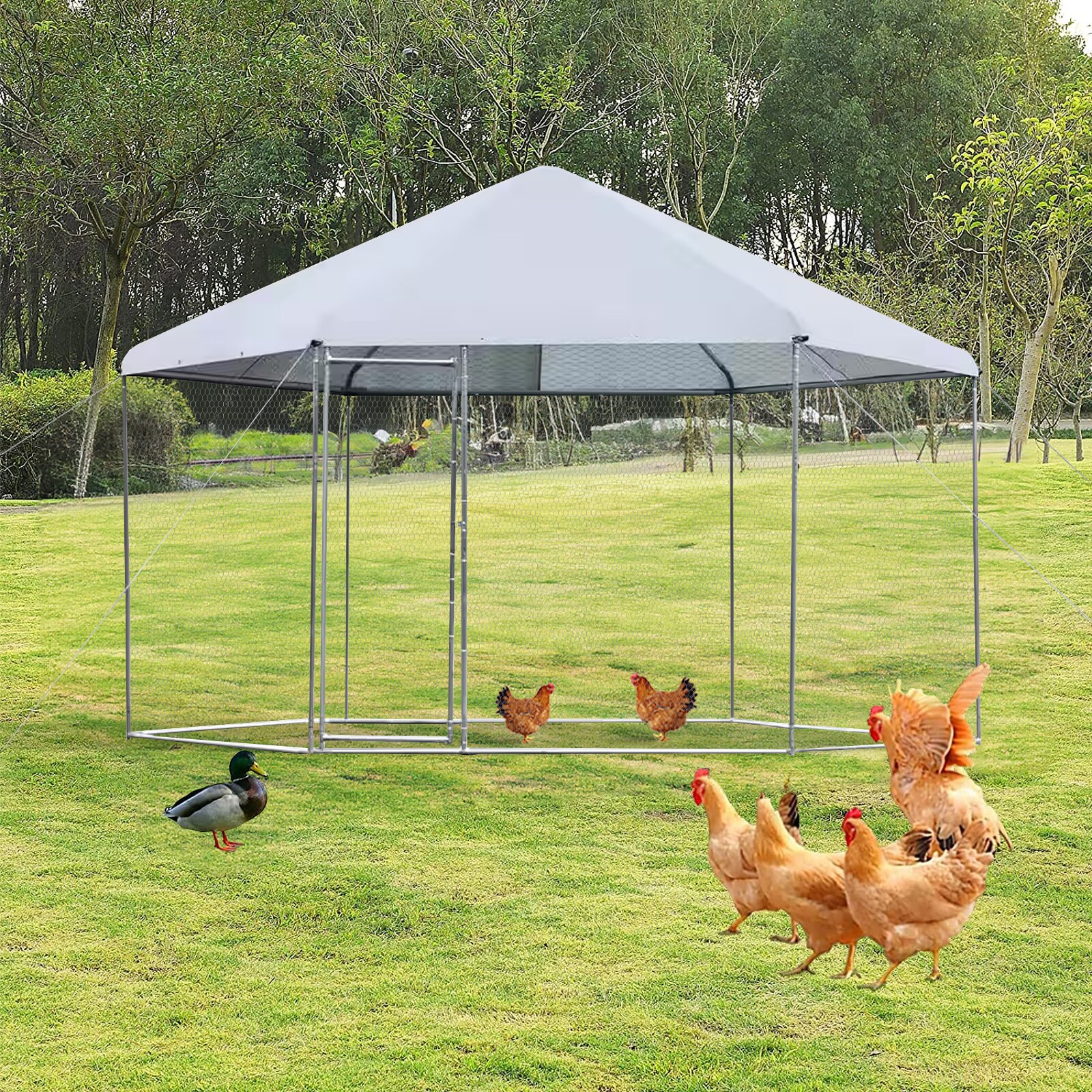 Maocao Hoom JL133465 Chicken-Coops-Rabbit-Hutches - View #3