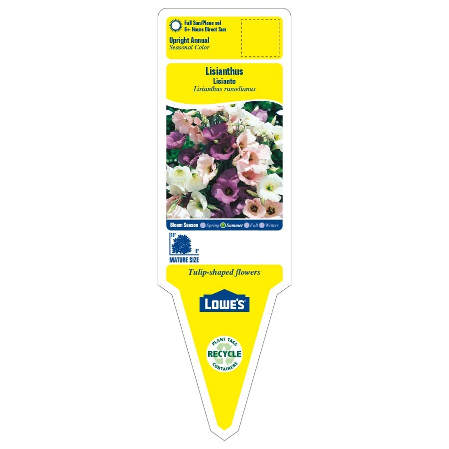 Lowe's 3936013 annuals - View #2