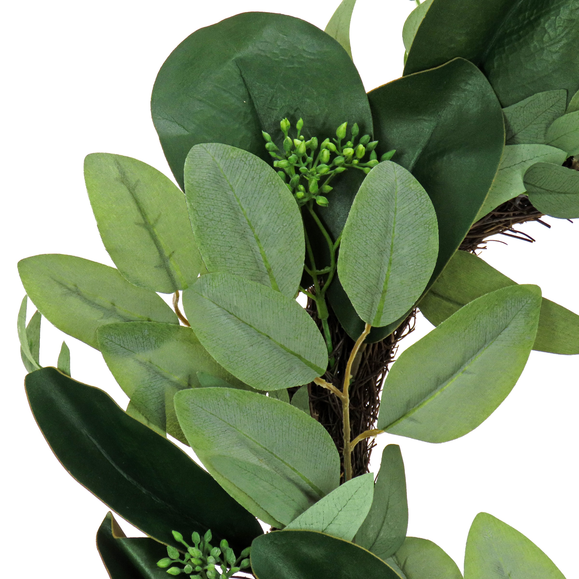 22" Green Artificial Eucalyptus and Magnolia Leaf Wreath
