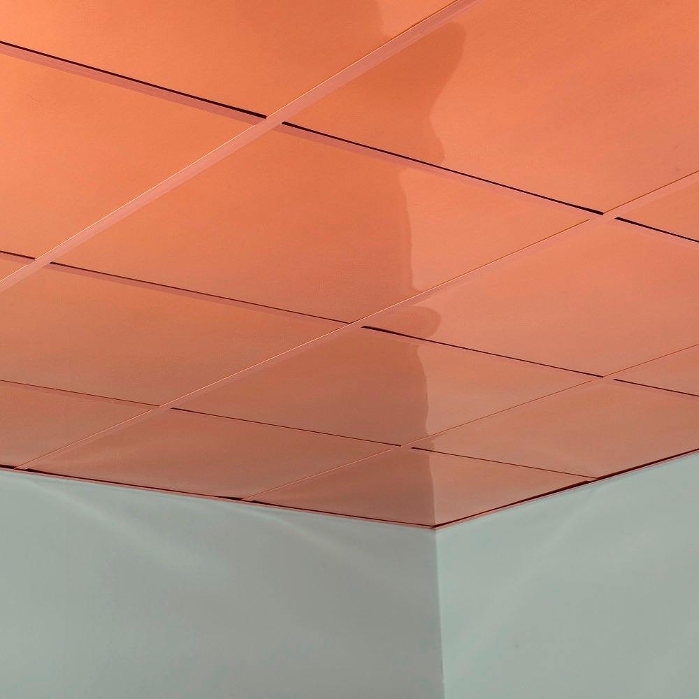 Fasade PL6925 Ceiling-Tile - View #4