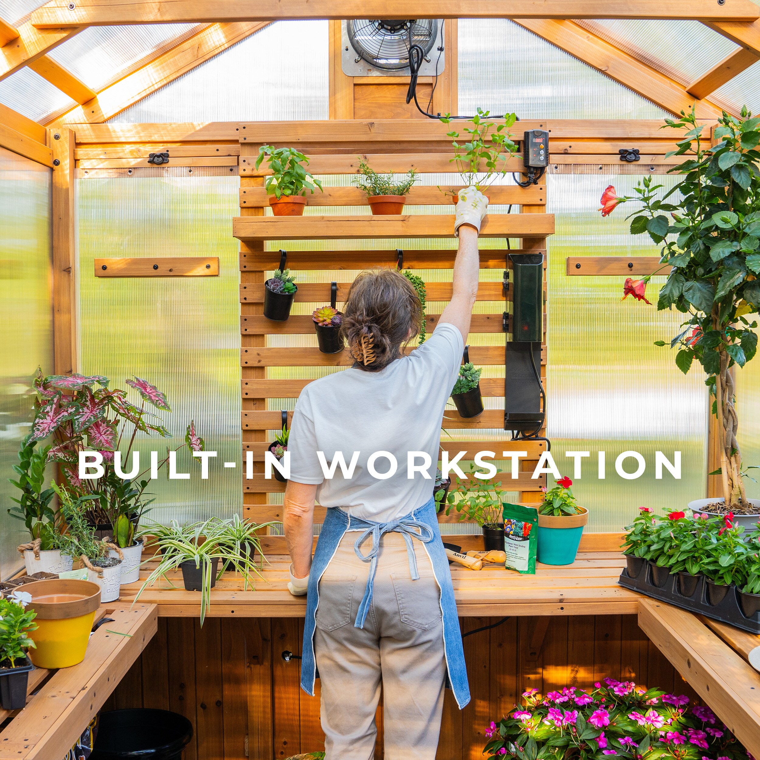 Backyard Discovery 11 x 7 Cedar and Polycarbonate Greenhouse