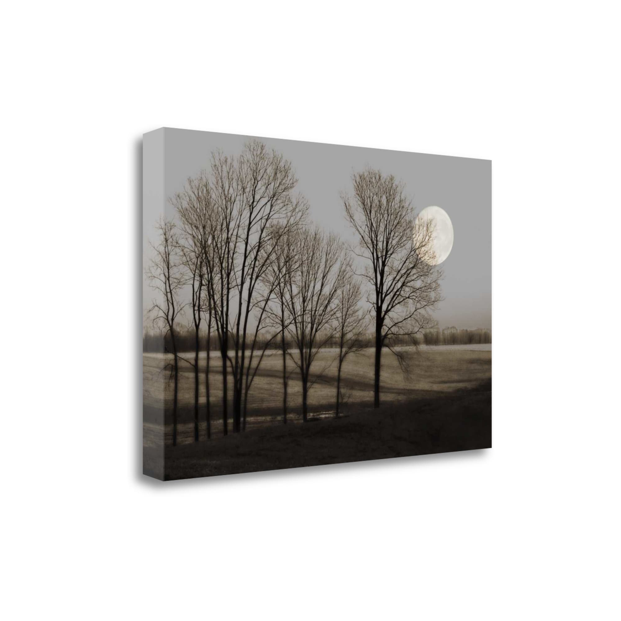 Tangletown Fine Art CAJHP104-3423C November Moon Heather Jacks 23-in H x 34-in W Landscape Print on Canvas
