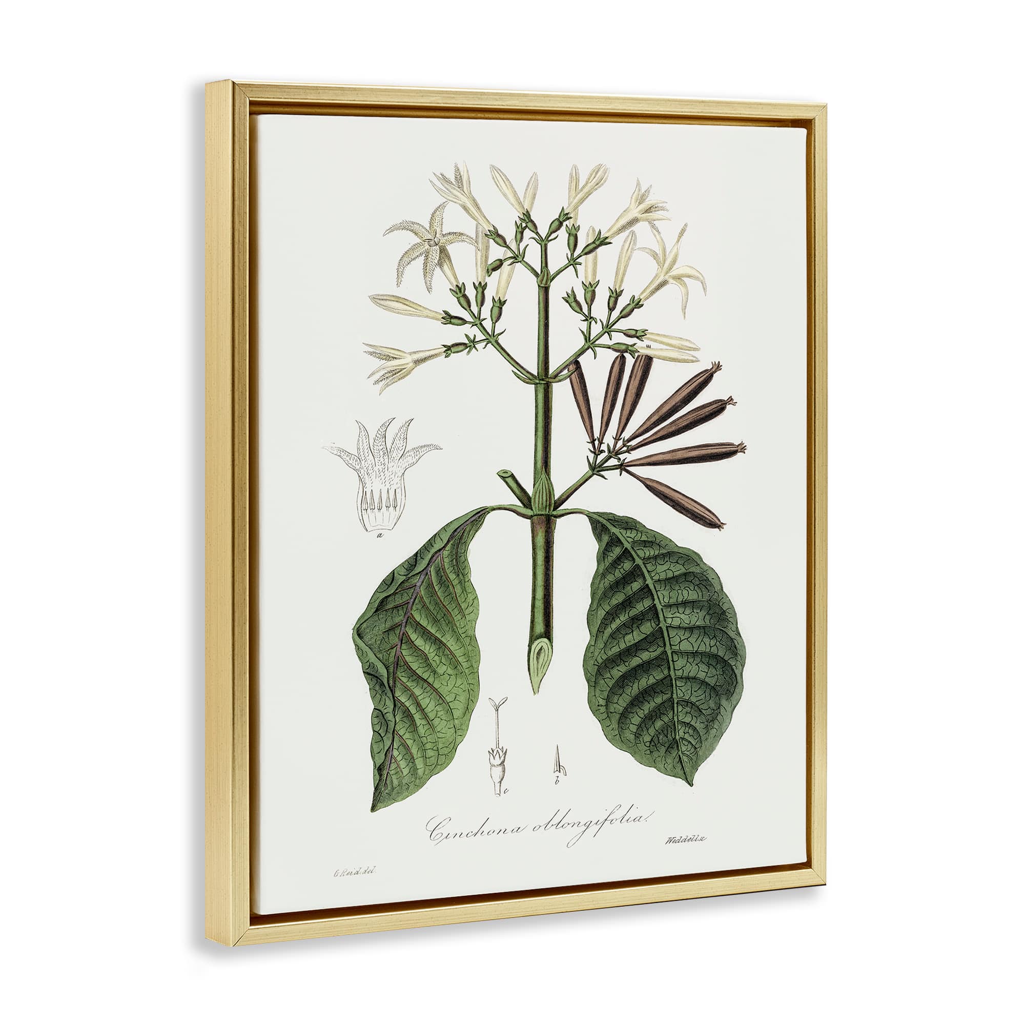 Stupell Industries BS-208-FFG-16X20 Wall-Art - View #2