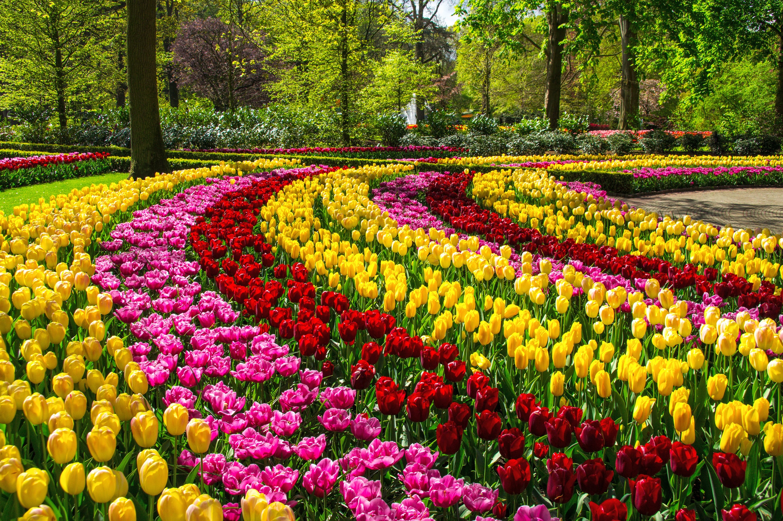  1745 annuals - View #2
