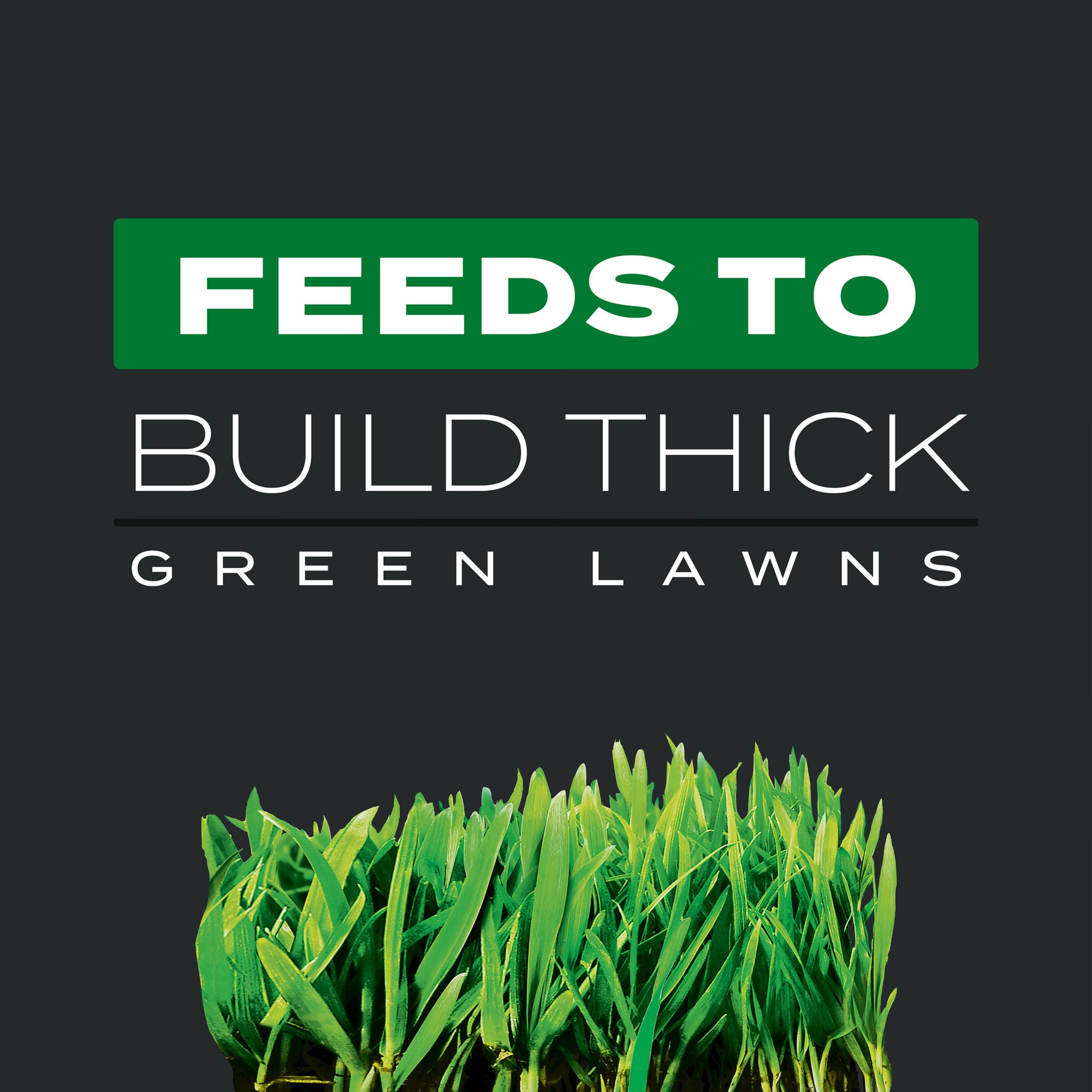 Scotts 26019 Lawn-Fertilizer - View #5