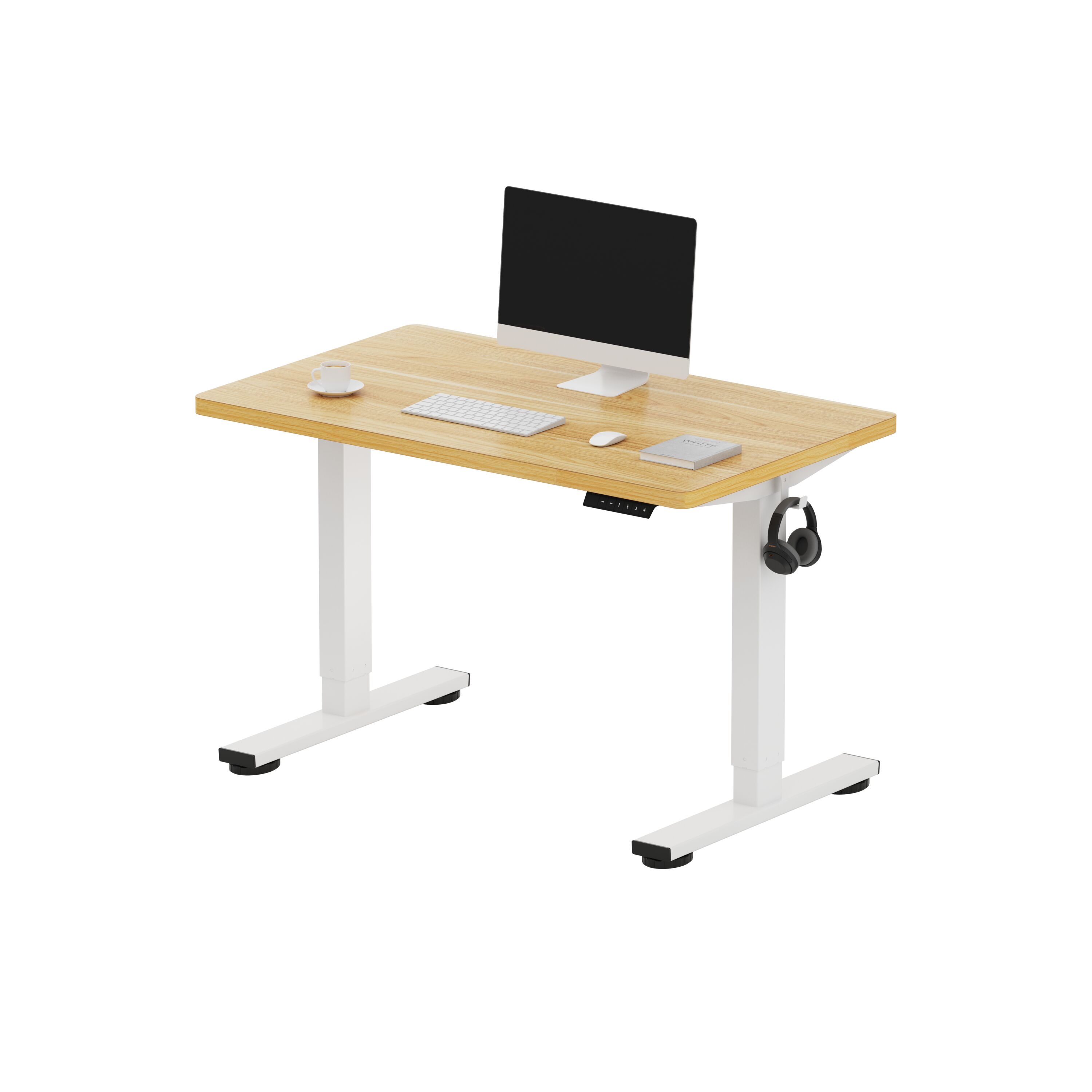 FlexiSpot E2WR4024M 40-in Brown Modern/Contemporary Standing desk