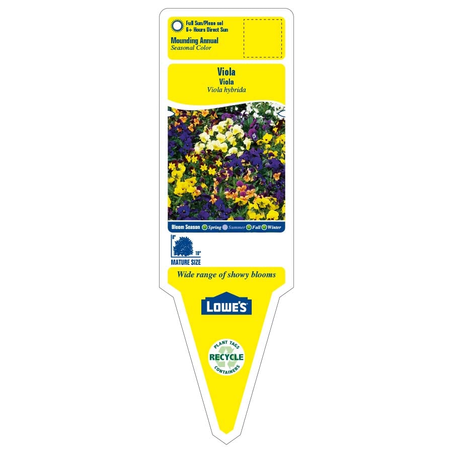 Lowe's NURSERY annuals - View #2