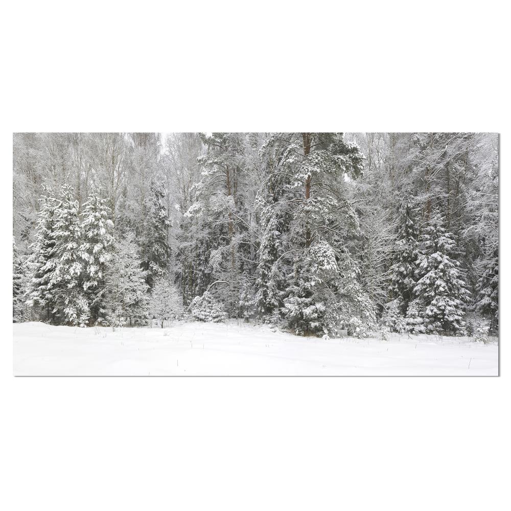 Designart PT15457-40-20 20-Inches H x 40-Inches W Landscape Canvas Print