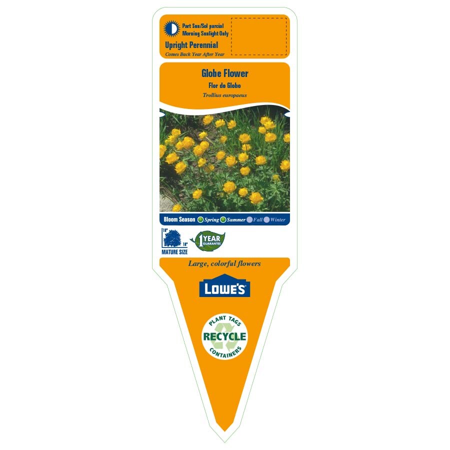 Lowe's 443412 perennials - View #2