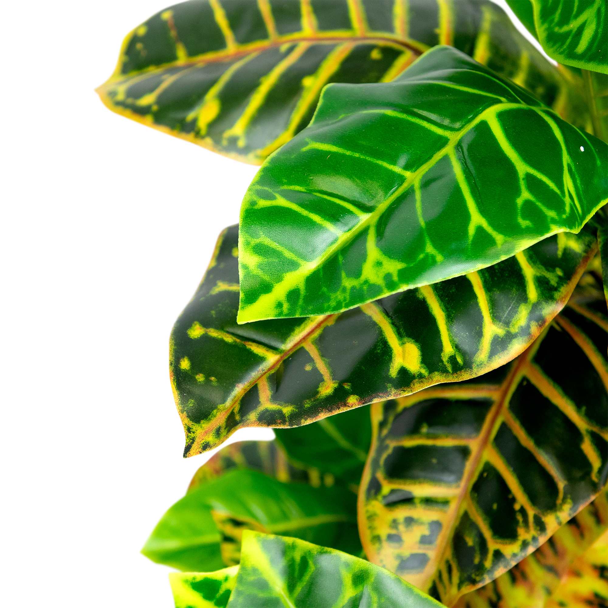Northlight NORTHLIGHT-WN37375 Artificial-Plants-Trees - View #5