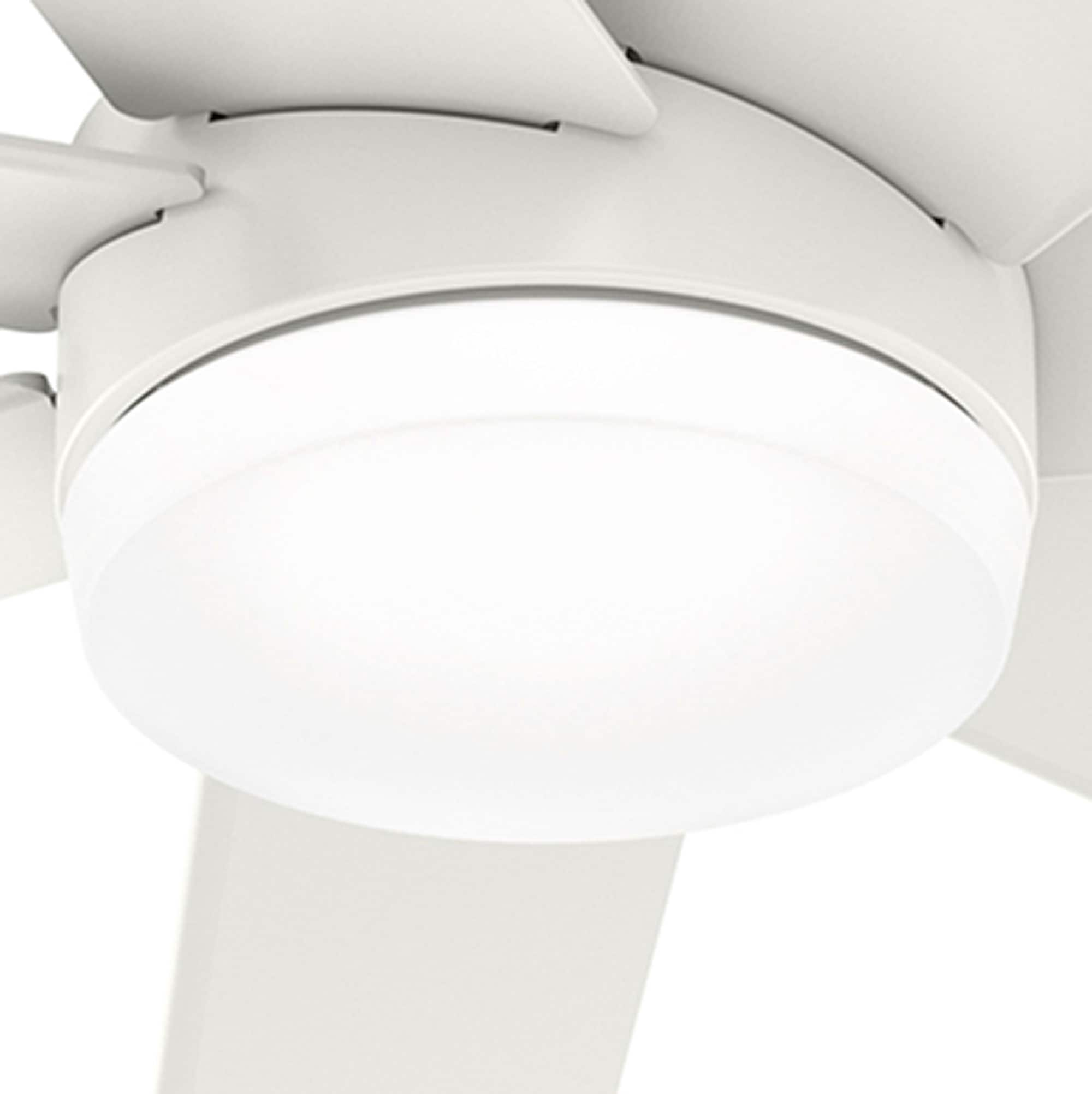 Hunter 53620 Ceiling-Fans - View #9
