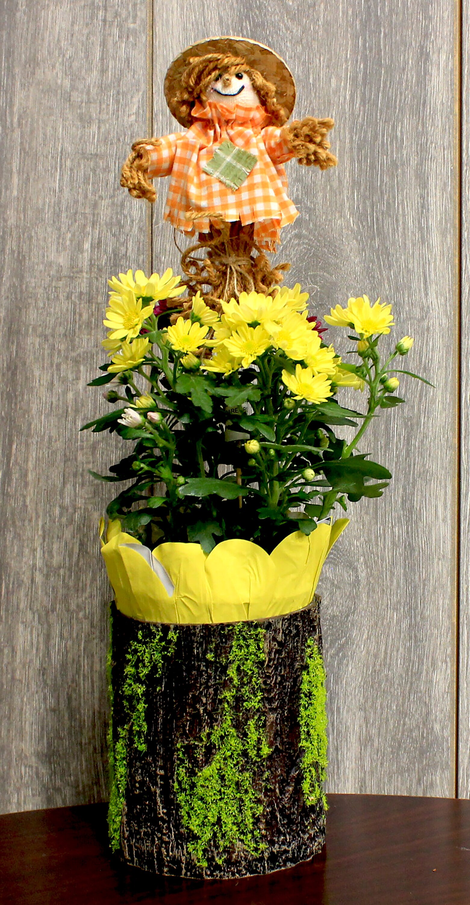 Worth Imports 10002 Outdoor-Thanksgiving-Decor - View #3