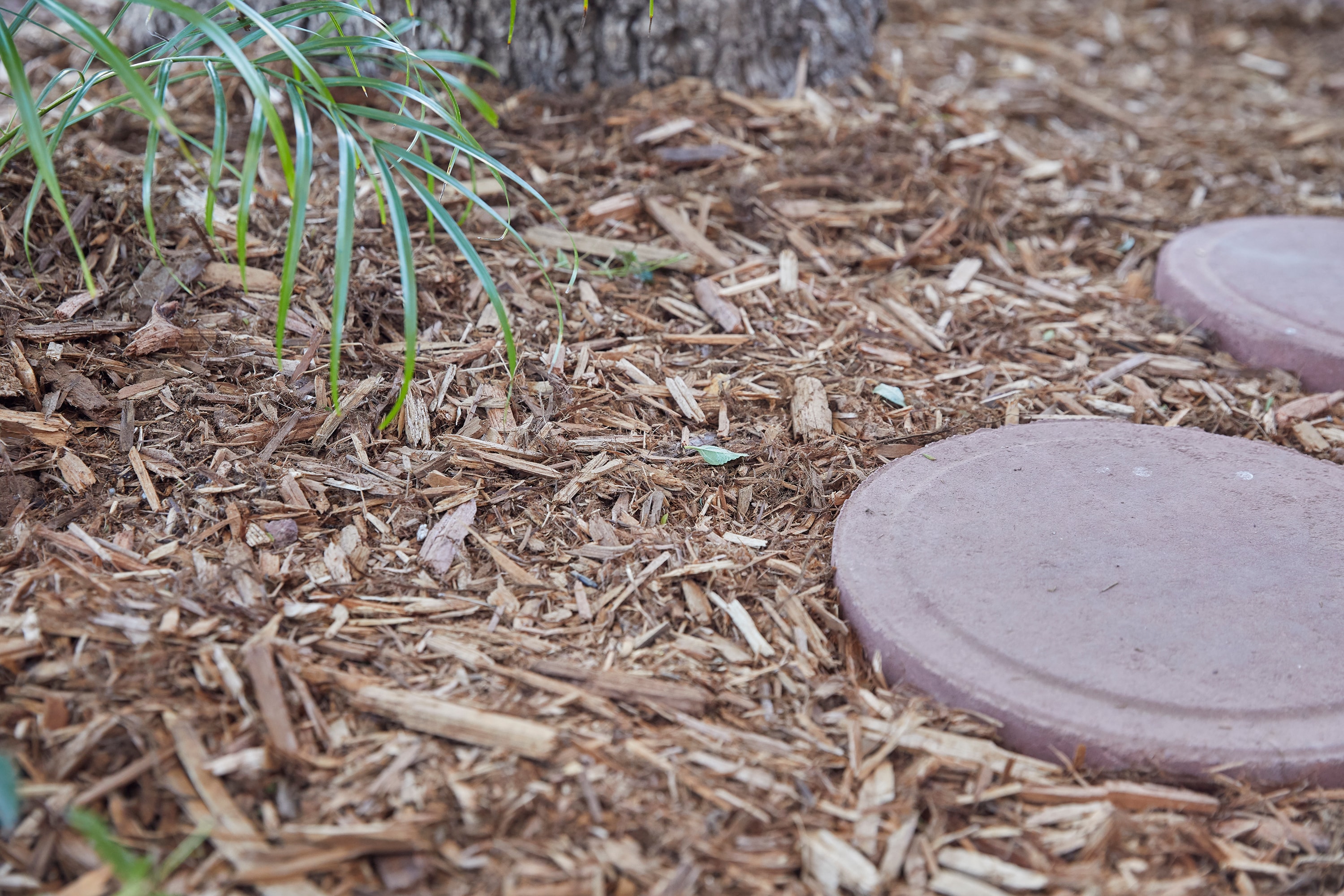 Garden Time GT 00450 Bagged-Mulch - View #4
