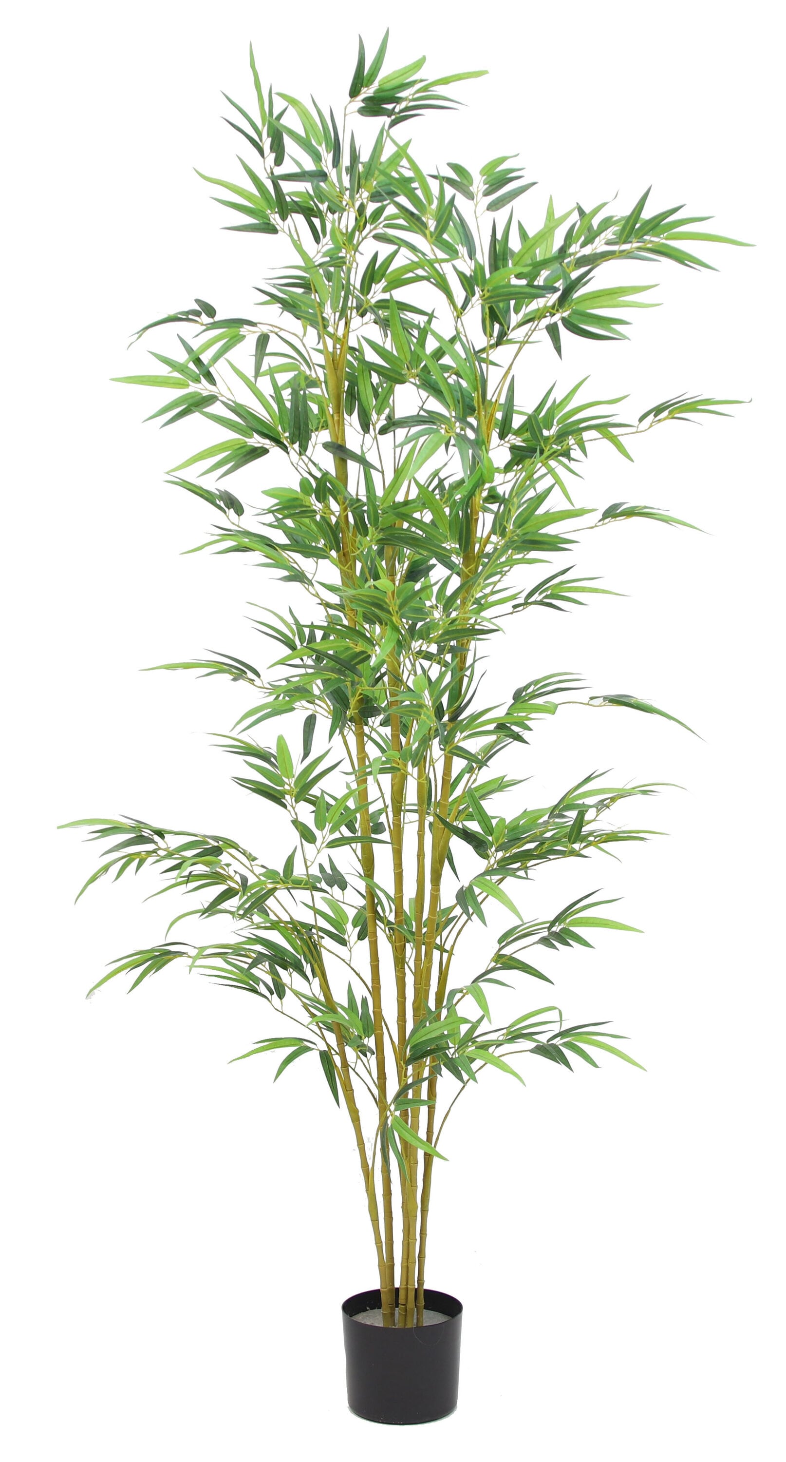 The Mod Greenhouse YPT01083 72-Inches Green Indoor Floor Bamboo Artificial tree