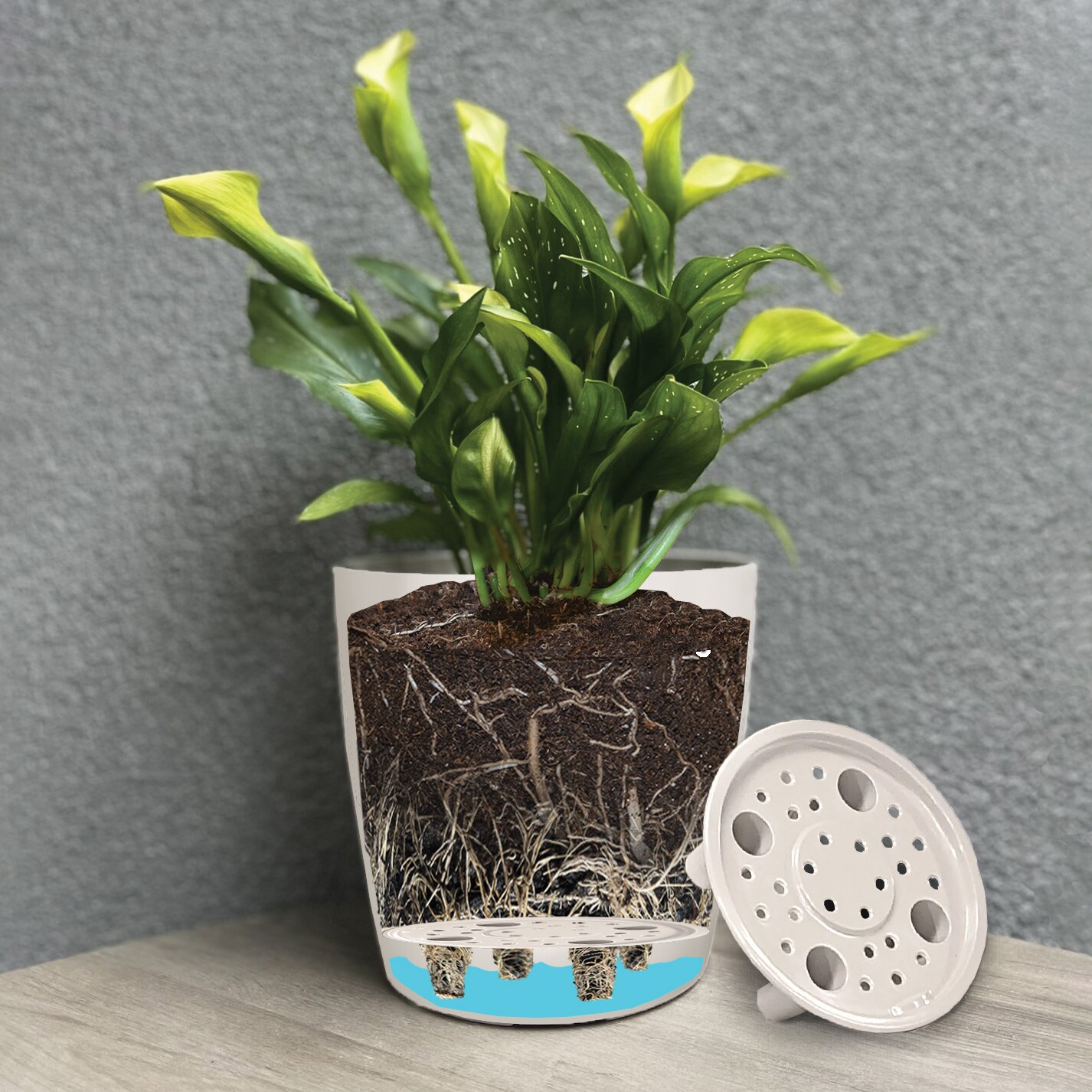  5-10002 Planter-Window-Box - View #9