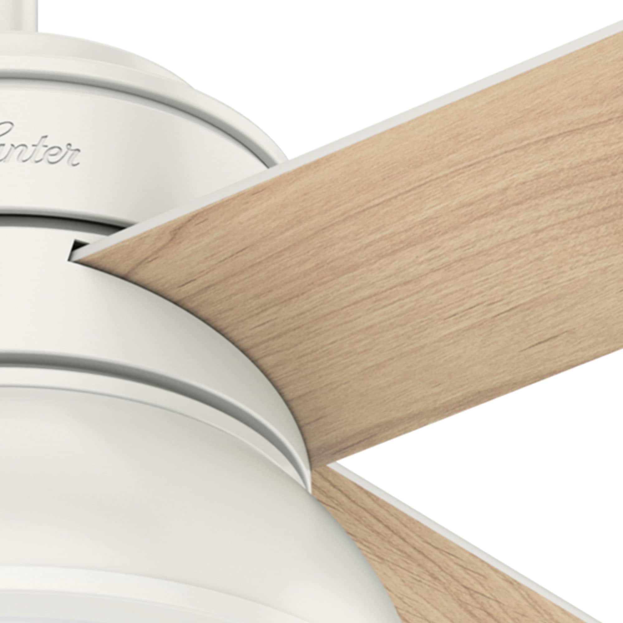 Hunter 59441 Ceiling-Fans - View #9