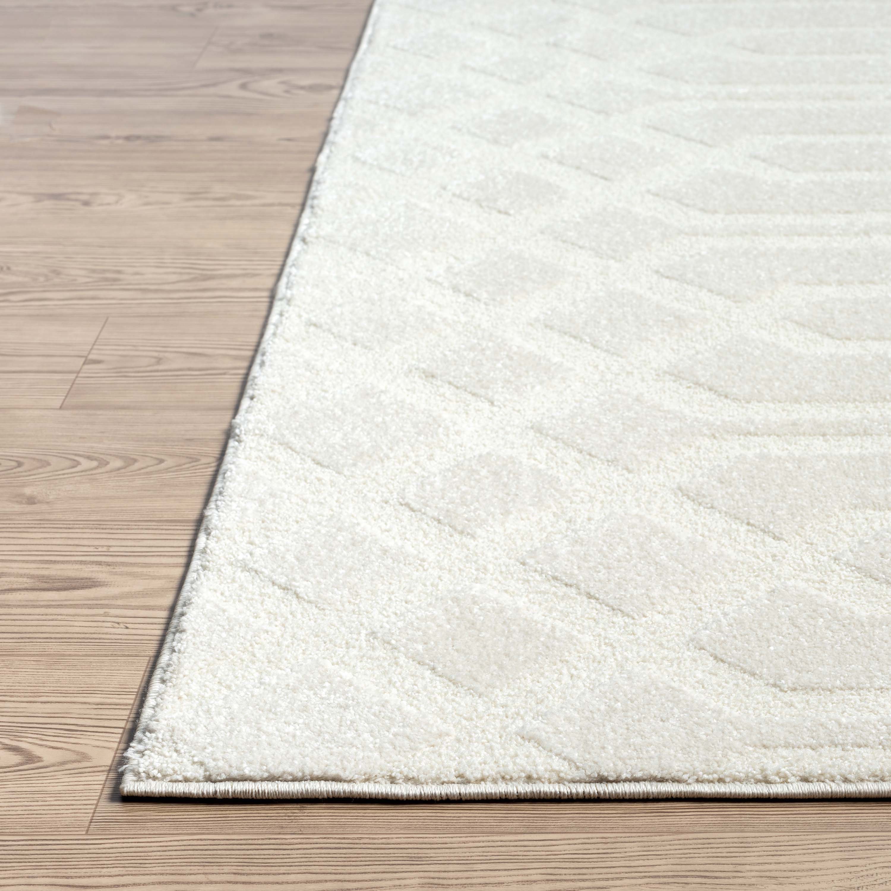 Abani Rugs COZ100A-5 rugs - View #5