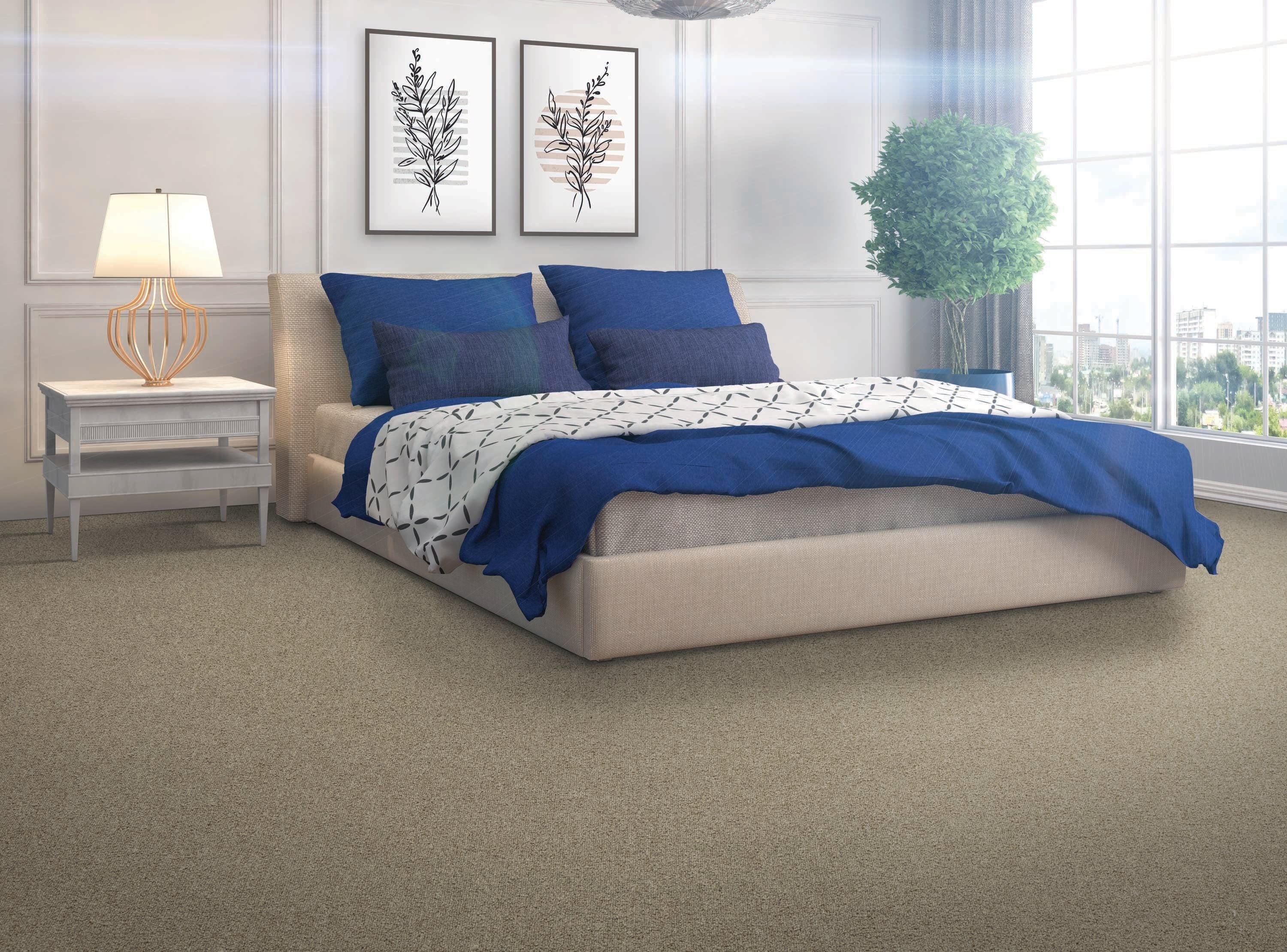 Style Selections ST670-L001-0808 Carpet-Samples - View #3