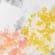 Yellow/Coral