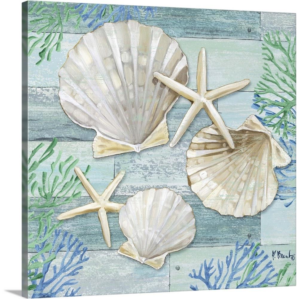 GreatBigCanvas Clearwater Shells IV by Paul B 24-in H x 24-in W ...